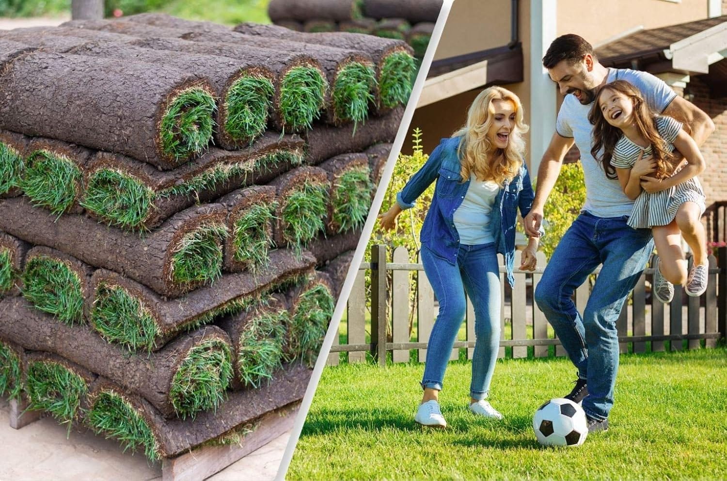 Rollrasen von Obi, Bauhaus und Amazon im Vergleich