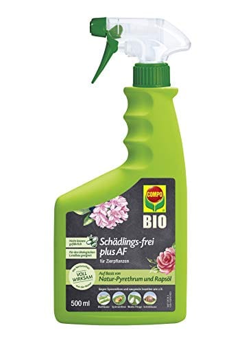Biologische Pflanzenschutzmittel: Effektiv gegen Schdlinge im Garten